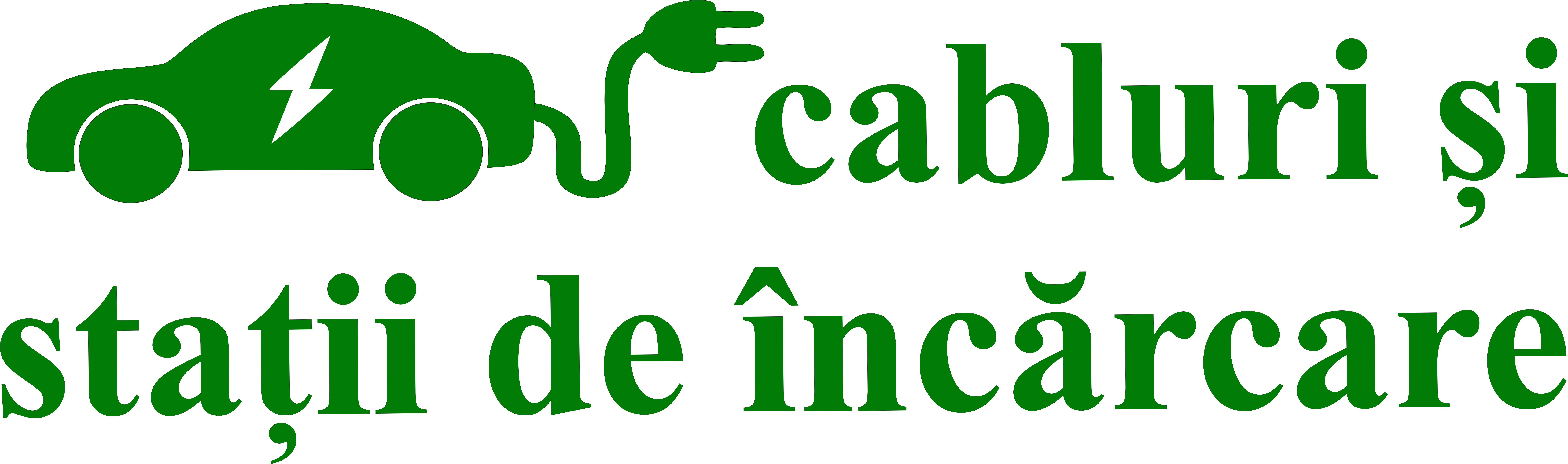 Masini Electrice Logo